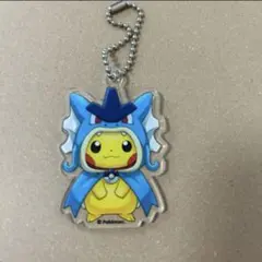 ポケモン アクリルキーホルダーコイキングごっこ & ギャラドスごっこ