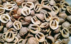 Item thumbnail for item 3582914e-c179-48cf-a566-f8cbfe0a7313