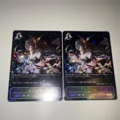 シャドウバース 勇気に満ちし者・勇気に満ちし者(EVOLVE) PR各1枚