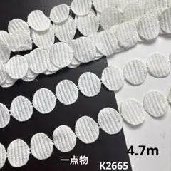 デザインレース　4.7m
