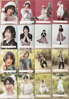 櫻坂46 大沼晶保 木枯らしは泣かない 12thBACKSサンタ 16種コンプ