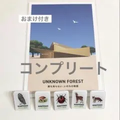 Item thumbnail for item aafeebc0-cbc5-4269-bd95-c31009d9b8f2