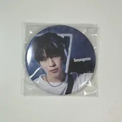 straykids スキズ ALL IN スンミン 缶バッチ