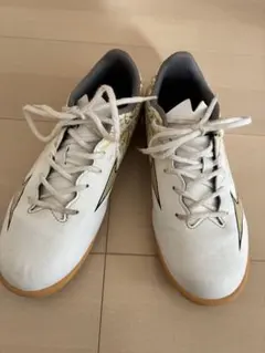 Item thumbnail for item b647673a-7f93-4a5b-a36e-88b0bdf9fdc6