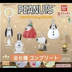 PEANUTS めじるしアクセサリー　コンプリート