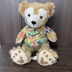 2026年最新】アウラニ ダッフィーの人気アイテム - メルカリ