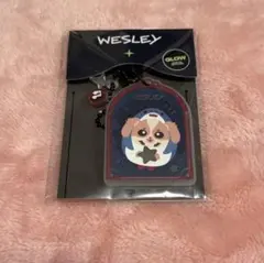 WESLEY GLOW ACRYLIC KEYCHAIN