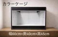 爬虫類ケージ 60×40×45 爬虫類　ケージ 飼育ケージ ペットのサムネイル