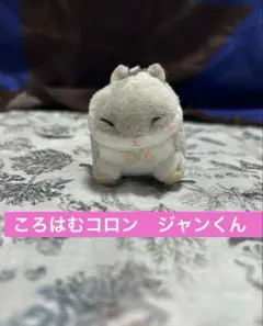 【ころはむコロン】　ぷちまる アニマルズDX ジャンくん グレー