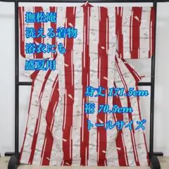 撫松庵◆盛夏用◆洗える浴衣風着物◆透かし織◆萩にとんぼ模様◆トールサイズのサムネイル