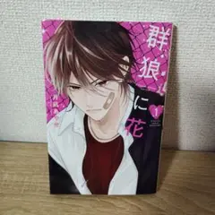 はなはな様 リクエスト 2点 まとめ商品