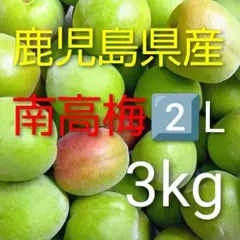 和歌山県産 完熟南高梅‼️L〜2L混合‼️3kg みかんキング 家庭用