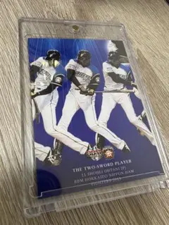 大谷翔平2013年5月23日プロ初登坂証明書☆当日電子チケットルーキー