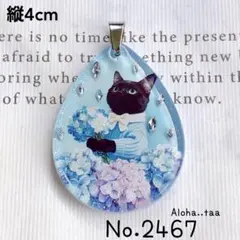 同梱値引100円❤️No.2467 レジン ペンダントトップ 猫 ネコ ねこ ♡