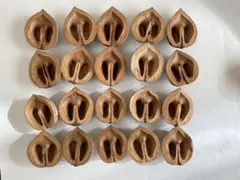 호두 껍질 (악마 호두) 껍질이 반쯤 깨진, 약 3cm, 20개, 색이 반쪽 ②