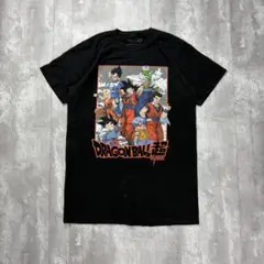 ドラゴンボールZ ヴィンテージピグメント加工アソートデザイン 半袖T