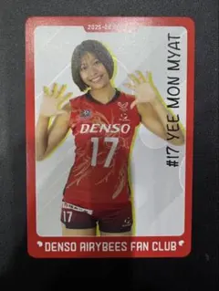 イェーモンミャ　デンソーエアリービーズ　トレーディングカード　ファンクラブ限定