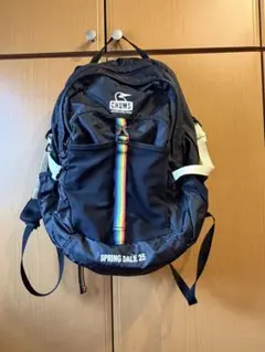 CHUMS SPRING DALE 25 バックパック 黒