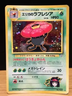 2026年最新】エリカのラフレシアの人気アイテム - メルカリ