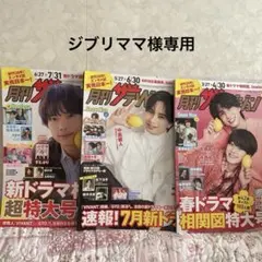 ☆専用商品☆月刊ザテレビジョン 3冊セット