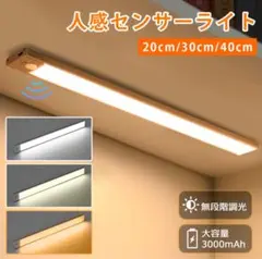 人感センサーライト　3段階調色　30cm
