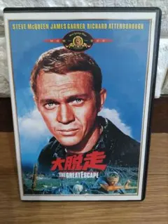 アッキー　大脱走　スティーブマックイーン　ナイロンジャケット　DVDなし アッキー 大脱走 スティーブマックイーン ナイロンジャケット DVDなし