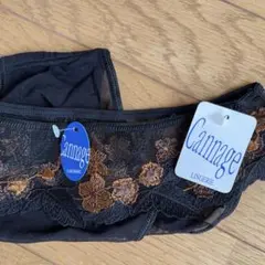 素敵なレースのイタリア製ショーツ