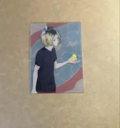 ハイキュー!! クリアカードセレクションA 水遊び