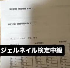 最安値！ジェルネイル検定中級　筆記試験　問題集　A.B.C 3種類