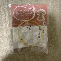 WANKONO Time Capsule わんこのタイムカプセル