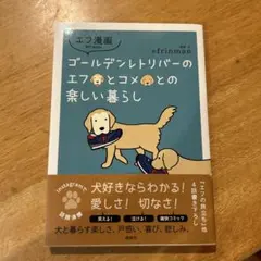 Item thumbnail for item fa16f62a-7540-46af-a9be-cf41a5d6701d