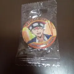 マッシュル 缶バッジ ドット・バレット