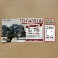那須どうぶつ王国 スペシャルクーポンのサムネイル