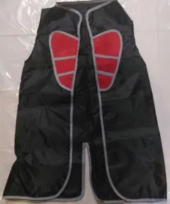 仮面ライダーウィザードのなりきりベスト
