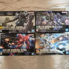 ガンプラ MG，HG 3点セット サイサリス ケンプファー ガーベラテトラ