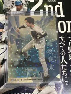 リッキー様 リクエスト 3点 まとめ商品