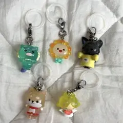 JOCHUM めじるしアクセサリー 5点セット