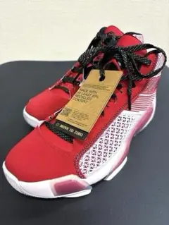 AIR JORDAN XXXVIII PF 
