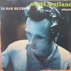 さくら (希望価格はお気軽にどうぞ)様 リクエスト 2点 まとめ商品