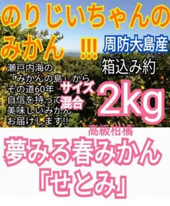 高級柑橘　夢みる春みかん「せとみ」サイズ混合 家庭用（訳あり含）箱込約2kgのサムネイル