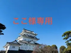 Item thumbnail for item 187f859a-8060-4491-82b1-a4e9cb887b4c