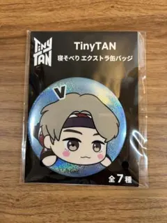BTS TinyTAN V テテ 寝そべり 缶バッジ ホログラム 防弾少年団