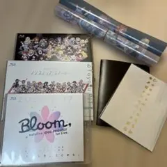 ブルーレイ hololive 特典付き