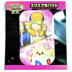 ポケモン　缶バッジ　ウォロ ウォロ テル ポケモン ポケモントレーナーズ 缶バッジ セット