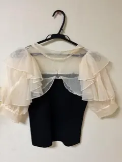 LILY BROWN オーガンジードッキングニット