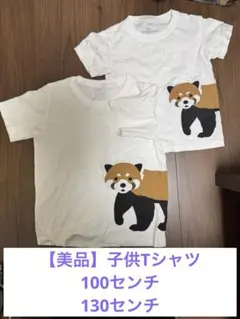 半袖　レッサーパンダ Tシャツ 2枚セット 100cm 130cm