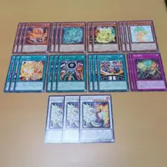 天盃龍