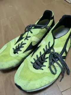 Mizuno Wave Cruise Japan ミズノ 26.5cm