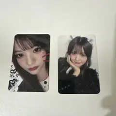 2026年最新】madein セリナ チェキの人気アイテム - メルカリ