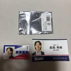 Item thumbnail for item 7fd33c43-ae01-4bc3-a307-83a9119d8901